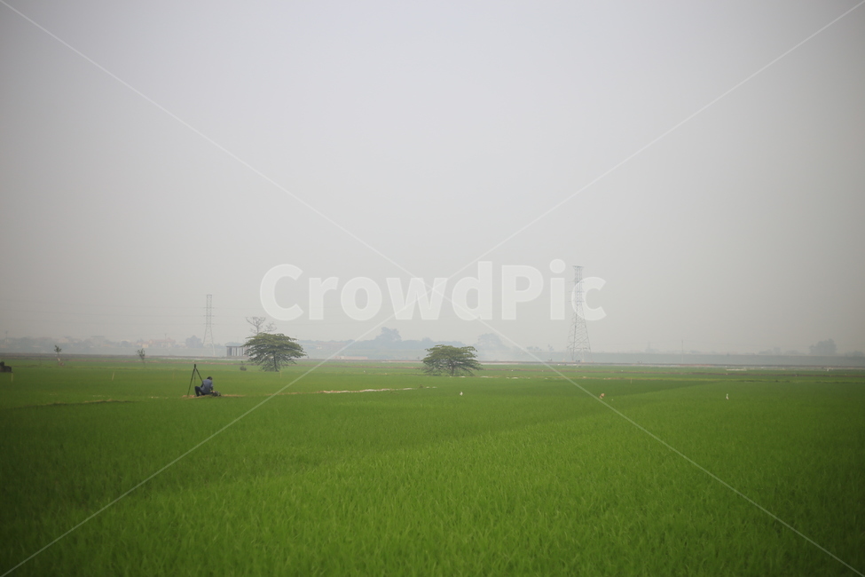 field,들,outdoors,옥외,nature,자연