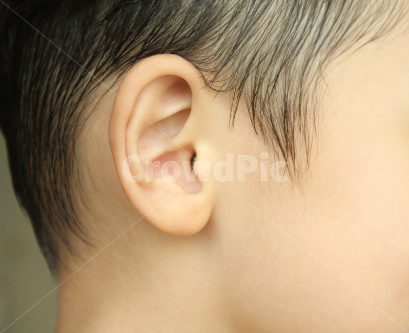 asian,baby,body,boy,child,closeup,ear,hair,head,human,kid,listen,men,people,person,skin,sound,young,동양인,아시아인,어린이,아이,아기,소년,남자아이,남자,신체,몸,클로즈업,얼굴,머리,머리카락,키즈,사람,피부,귀,소리,젊은,듣기,귓바퀴,옆모습,구렛나루,사람,인물,인간,human,person,신체일부,몸,body,어린이,어린아이,child,children,kid