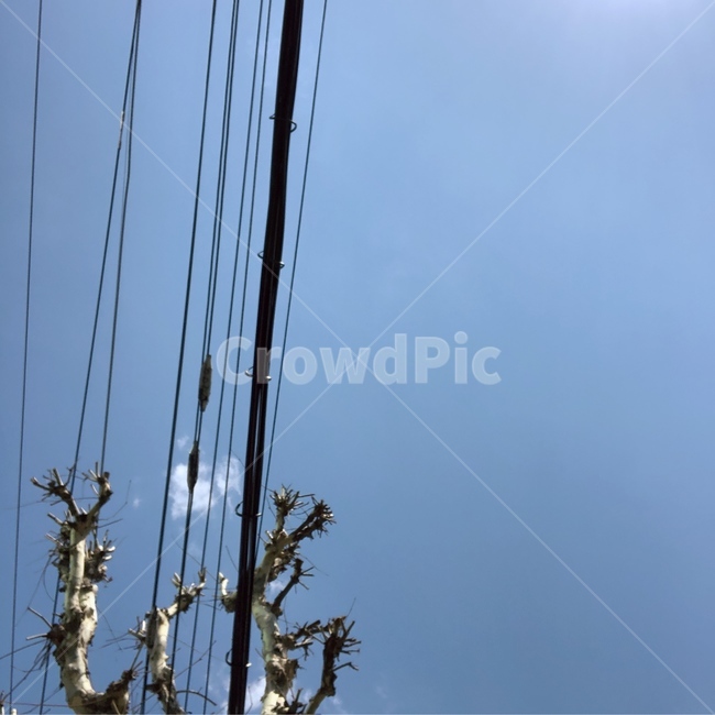 하늘,파랑,sky,구름,나무,편안,맑음