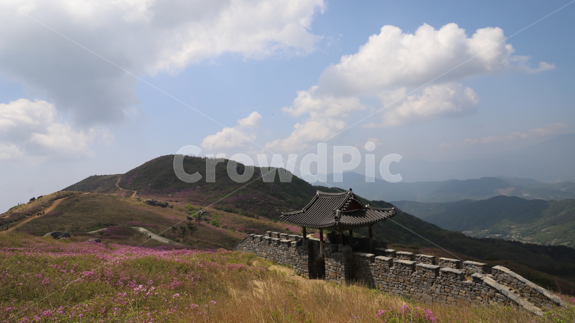 황매산,철쭉,5월,황매산철쭉,합천,구름,하늘,파란하늘,철쭉꽃,축제,황매산철쭉제,황매산성,분홍꽃,산,계절,봄,풍경