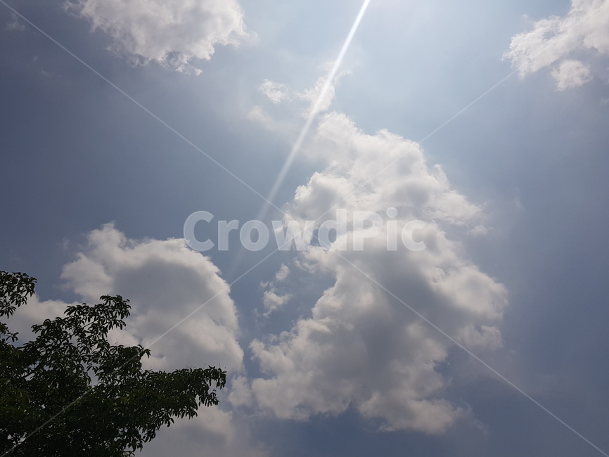 구름,하늘,푸른하늘,뭉게구름,하얀구름,흰구름,파란하늘,나무,햇살,cloud,sky,bluesky,tree,맑은하늘