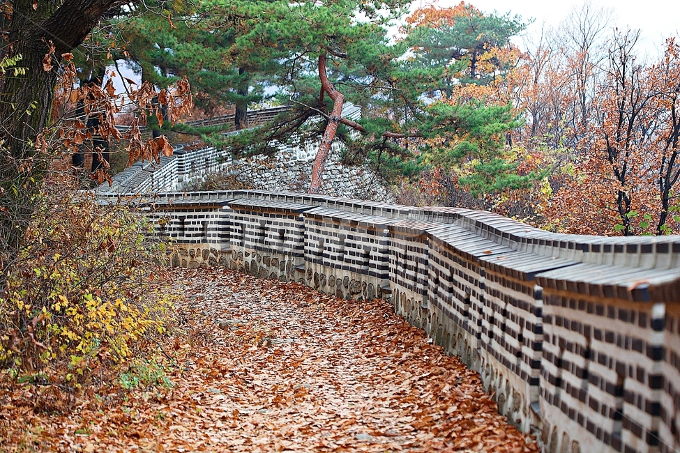 남한산성,성,성곽,단풍,낙엽,길,둘레길,숲,숲길,담,돌담,가을,자연,풍경,벽,울긋불긋,산성,식물,가을,계절,fall,autumn,season