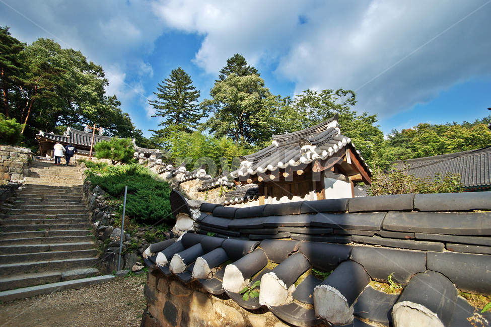 마곡사,공주,전통,돌담,기와,자연,사찰,유네스코세계문화유산,한국전통,한국문화,korean traditional,korean culture,건축물,건물외관,exterior,building,structure,architecture,construction