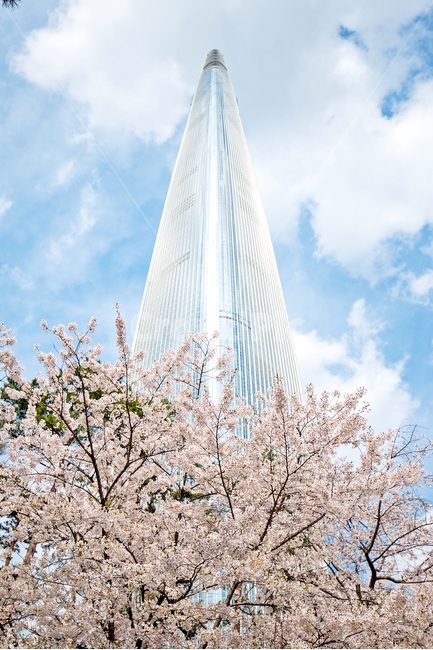 봄,꽃,벚꽃,자연,감성사진,풍경,감성,도시,빌딩,나무,하늘,city,nature,season,flower,tree,sky,fall,cloud,봄,계절,spring,season,랜드마크,landmark,tourist attraction,한국랜드마크,한국관광지,한국명소,korea landmark,korea tourist attraction,식물,자연,plants,nature,나무,trees,wood,건축물,건물외관,exterior,building,structure,architecture,construction,plant,blossom
