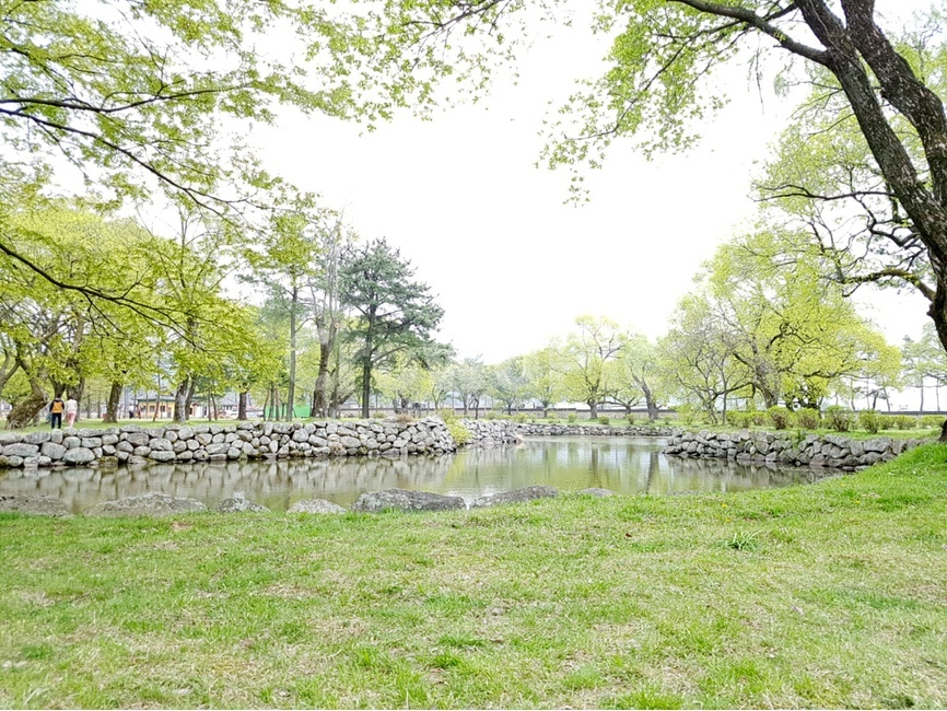 연못,자연,푸르른,푸른,초록,봄,공원,자연,풍경,nature,landscape,한국자연풍경,한국자연경관,korea nature landscape,water,물,outdoors,옥외,land,땅