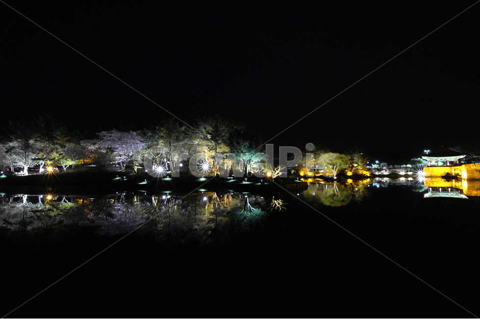 경주,자연,야경,동궁과월지,안압지,야경,밤,풍경,nightscape,night,landscape,한국전통,한국문화,korean traditional,korean culture,랜드마크,landmark,tourist attraction,한국랜드마크,한국관광지,한국명소,korea landmark,korea tourist attraction,건축물,건물외관,exterior,building,structure,architecture,construction,nature,water,물,outdoors,옥외