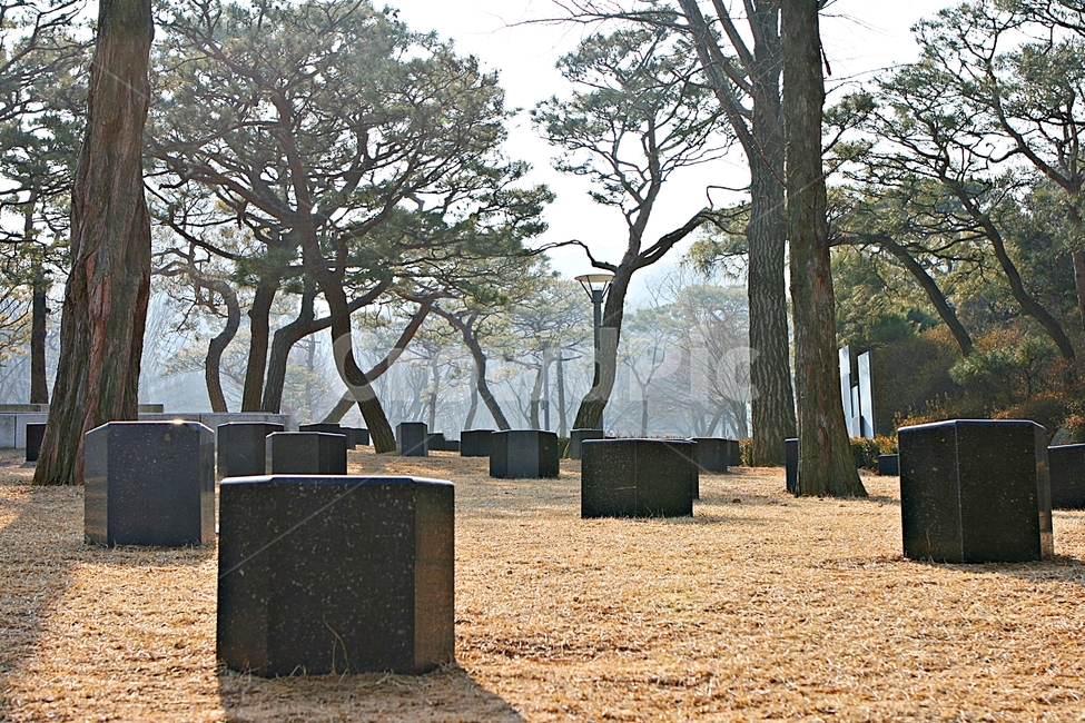 의자,공간,쉼터,풍경,배경,가을,계절,fall,autumn,season,자연,풍경,nature,landscape,tree,나무,plant,식물