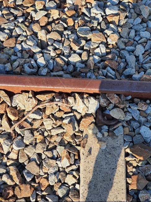 철길,기차길,선로,폐철로,교통수단,레일,rail,교통,교통수단,traffic,transportation