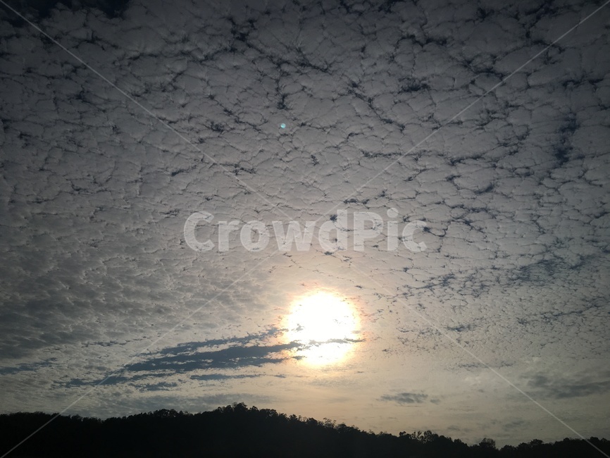 풍경,하늘,구름,안개구름,고화질,초고화질,해,햇빛,자연,풍경,nature,landscape,animal,동물,flock,대군