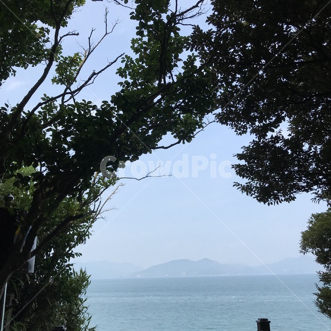 여수,오동도,바다,오동도경치,여수오동도