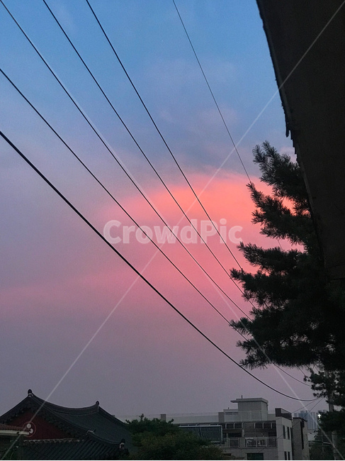 일몰,sunset,감성,노을,석양,하늘,빨간,붉은,해질녘,색감,핑크,소나무,분홍하늘