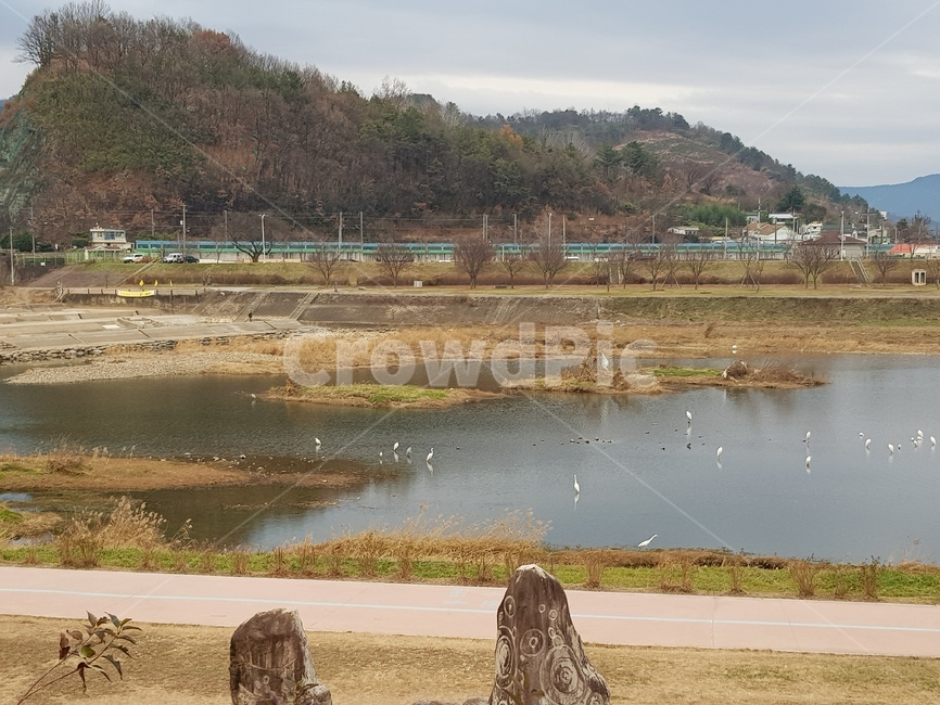 강변,철새,water,nature,자연