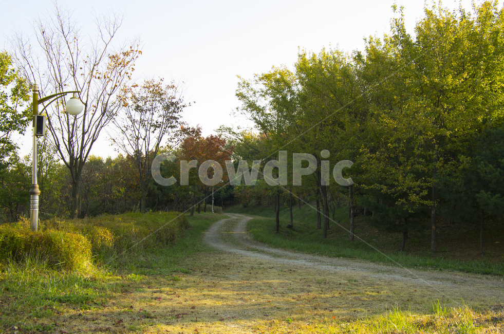 가을,산책,공원,나무,산책길,scene,view,feeling,emotion,nature,landscape,풍경,감정,감성,자연,계절,autumn,fall,park,tree,풍경사진,감성사진,정취