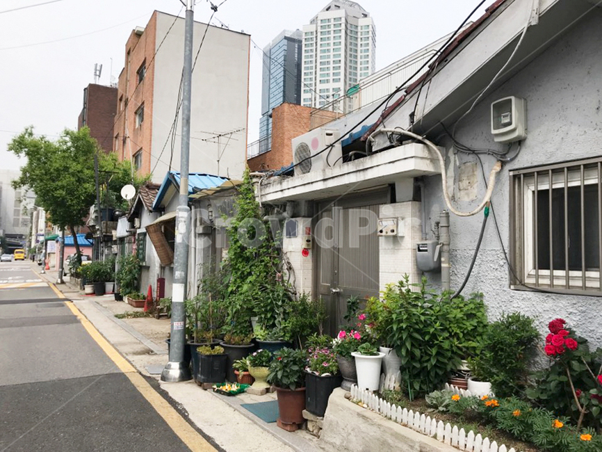 서울,집,철대문,화단,용산,seoul,building,house,telephonepole,flower,plants,주택,건물,전봇대,꽃,식물