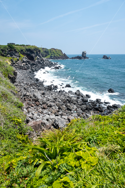 제주,제주도,성산일출봉,자연,바다,풍경,아름다운풍경,바닷가,섬,jeju,nature,검은해변,검은돌,water,land,날씨,곶,풀,풀잎,자연,풍경,nature,landscape,제주도,jeju,jeju island,promontory