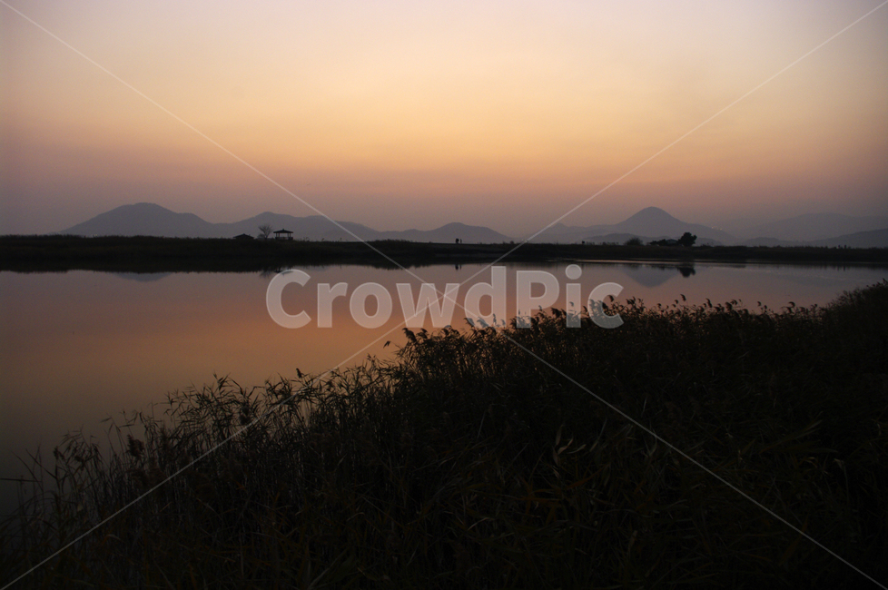 순천만,일몰,노을,풍경,갈대밭,강,하늘,그림자,자연,풍경,nature,landscape,land,땅,outdoors,옥외,water,물