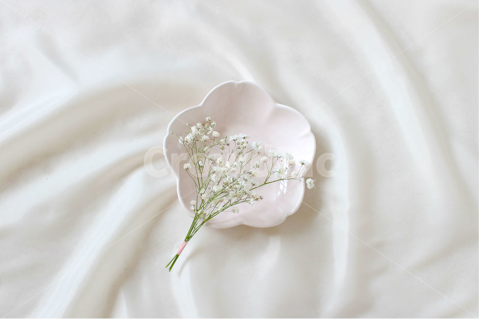 접시,꽃,안개꽃,분홍,감성사진,그릇,분홍색,하얀색,pink,white,flower,flowers,꽃,flower,연출,컨셉,콘셉,direction,concept