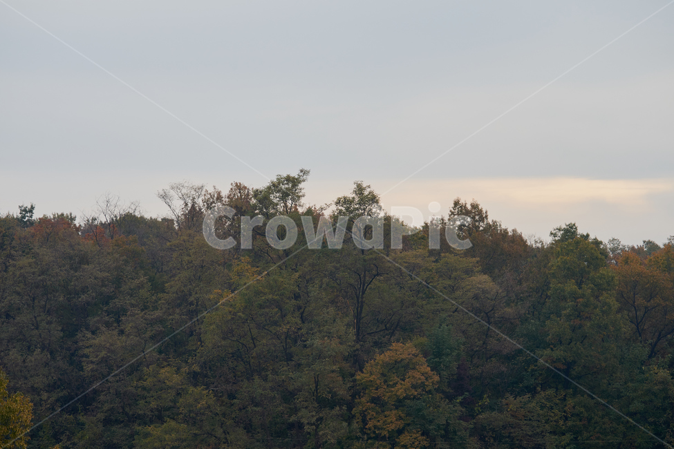 nature,자연,산,outdoors,옥외,나무,가을,계절,fall,autumn,season