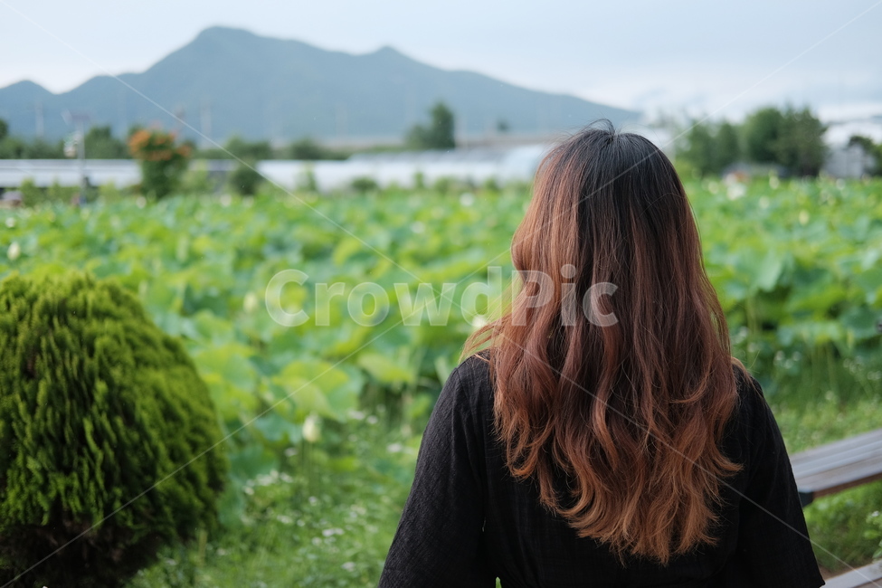 여자,뒷모습,모델,두물머리,국내풍경