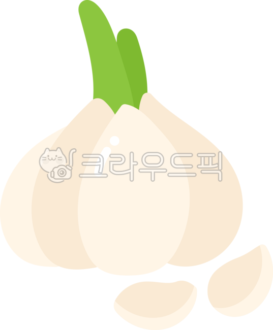 마늘,야채,채소,마늘효능,갈릭,건강식,깐마늘,쪽마늘,육쪽마늘