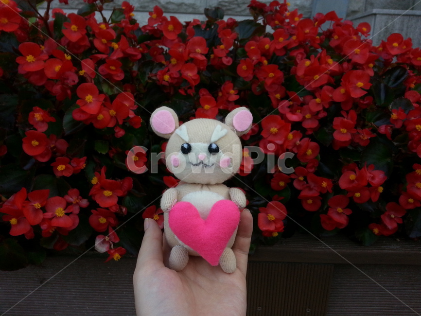 인형,햄스터,꽃,빨간꽃,flower,햄스터인형,hamster,동물인형,red