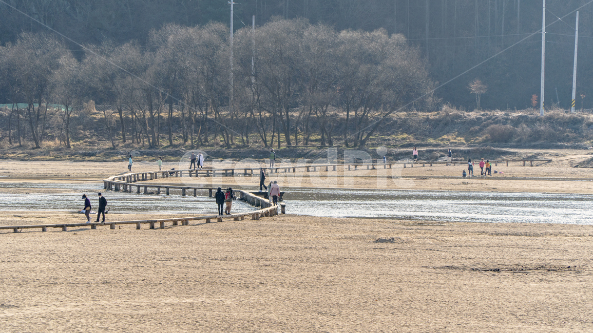 외나무다리,다리,무섬마을,자연,나무,tree,bridge,물,water