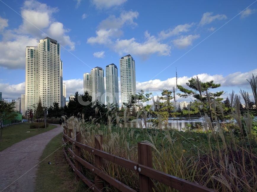 호수,산책길,아파트,파란하늘,가을하늘,도시,풍경,city,landscape,한국도시풍경,한국도시경관,korea cityscape