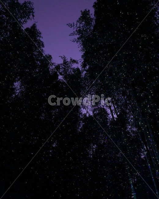 nature,자연,astronomy,천문학,starrysky,별이빛나는하늘,universe,우주,night,밤,space,자연,풍경,nature,landscape,야경,밤,nightscape,night,outdoors,옥외,outer space,대기권 밖,starry sky,별이 빛나는 하늘