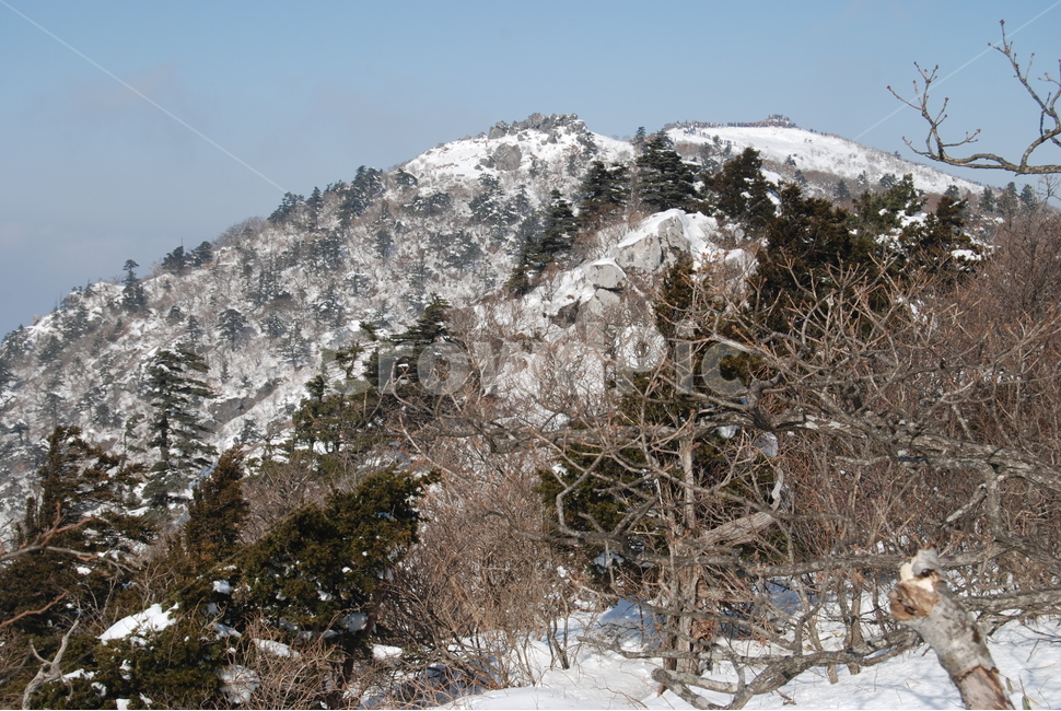 덕유산,100대명산,백암봉,인생여정,덕유산국립공원,자연의위대함,등산로,능선,아름다움,신비스런산,돌,산행,힐링,자연,감성,등산,계절,여행,한국,한국명산,한국등산,풍경,눈,나무,하늘,바람,바람소리,환경,생태계,산,땅,겨울,계절,winter,season,자연,풍경,nature,landscape,한국자연풍경,한국자연경관,korea nature landscape,plant,식물,tree,abies,아비,fir,전나무
