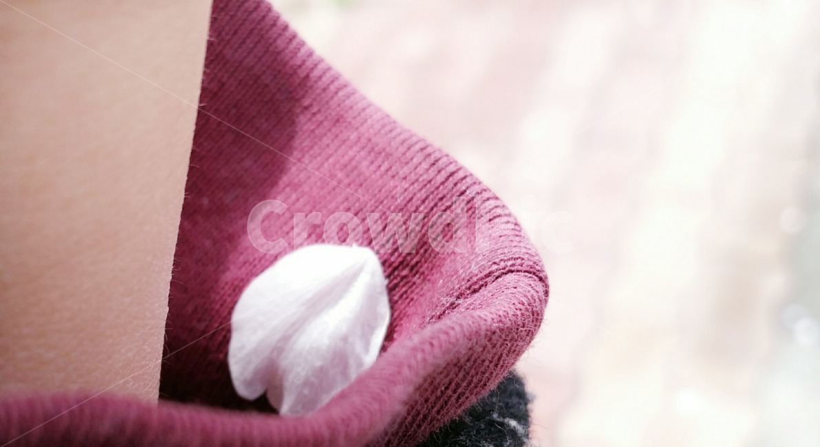 spring,Cherry Blossom,petal,plant,cherryblossom,Emotional photo,flower