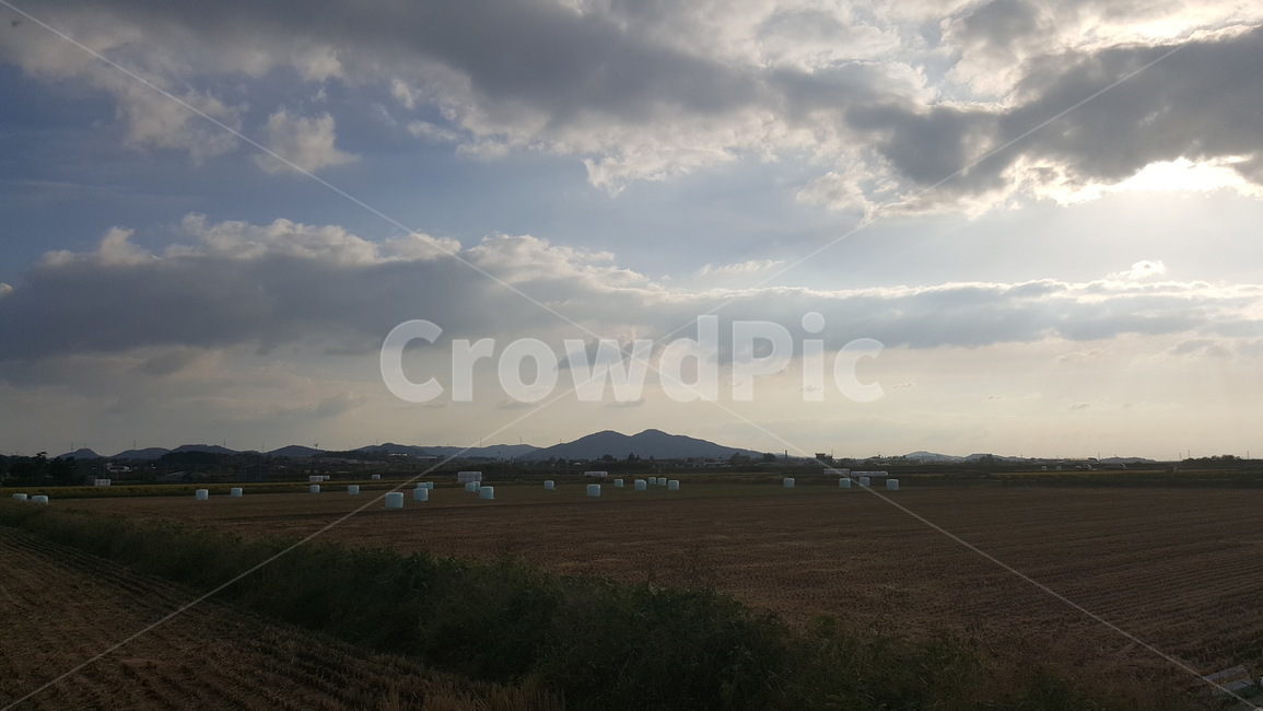 nature,outdoors,자연,논,weather,날씨,옥외,자연,풍경,nature,landscape