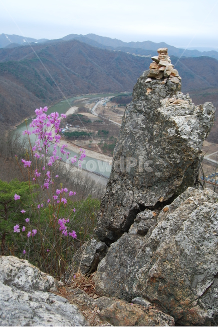 팔봉산,바위,야생화,한국명산,봄,자연,풍경,nature,landscape,한국자연풍경,한국자연경관,korea nature landscape,outdoors,옥외
