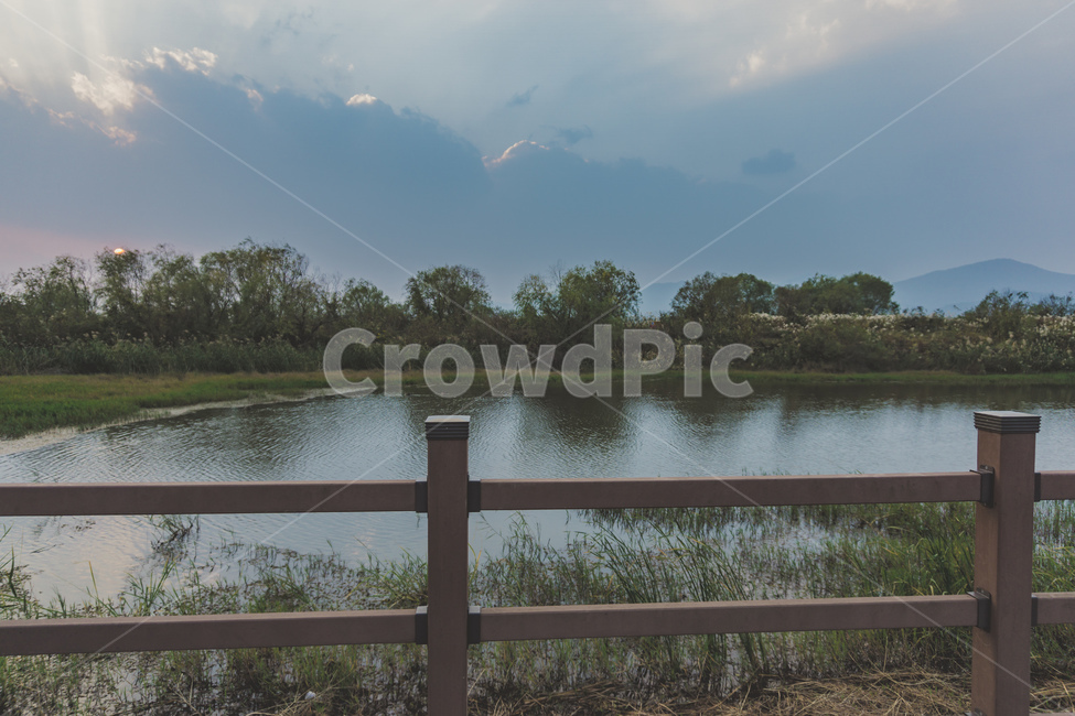 화명생태공원,자연,풍경,하늘,구름,해질녘,노을,나무,낙동강,강,숲,풀,park,nature,view,landscape,sky,cloud,sunset,sun,sundown,tree,river,forest,plants,beautiful,자연,풍경,nature,landscape,railing,난간,handrail,banister