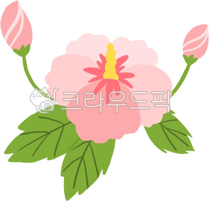 Rose of Sharon,flower,Liberation Day,Independence Day,Memorial Day,Liberation Day