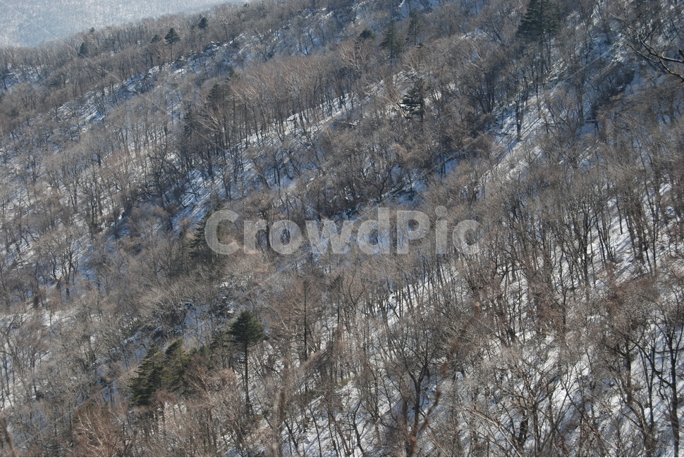 덕유산,100대명산,등산로,자연,계절,겨울,계절,winter,season,자연,풍경,nature,landscape,plant,식물,tree,나무,outdoors,옥외