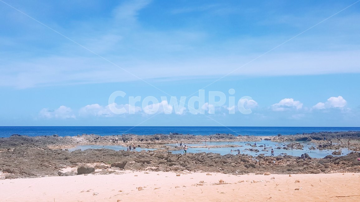 바다,자연,물,해변,beach,옥외,outdoor,nature,수평선