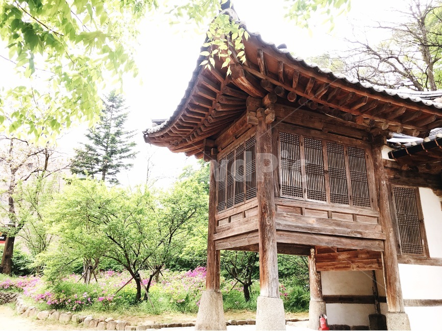 강릉,문화재,한옥,답사,칠사당
