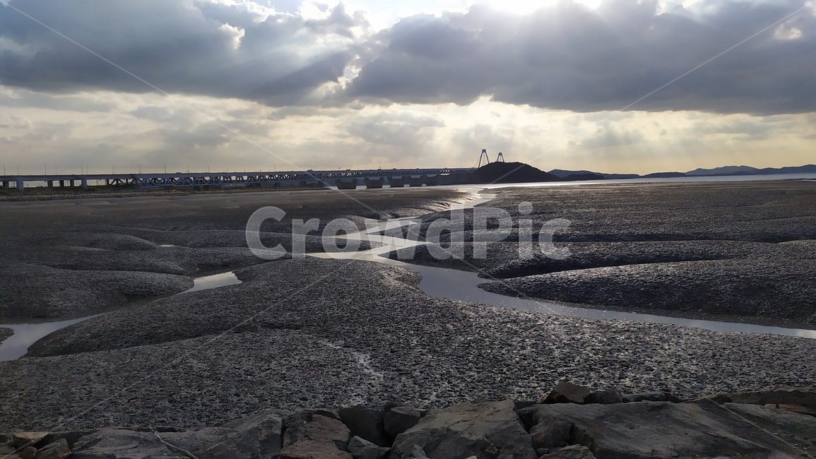mudflat,foreshore,갯벌,자연,서해,바다