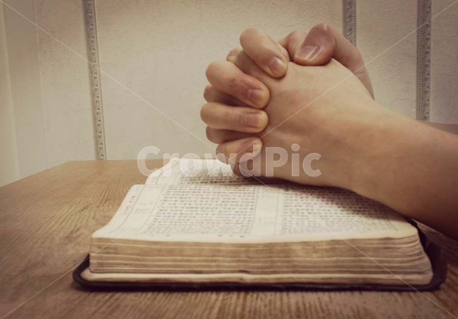 성경,성경책,기도,믿음,기독교,종교,바이블,bible,손,신체일부,몸,body,종교,신앙,religion,belief,faith