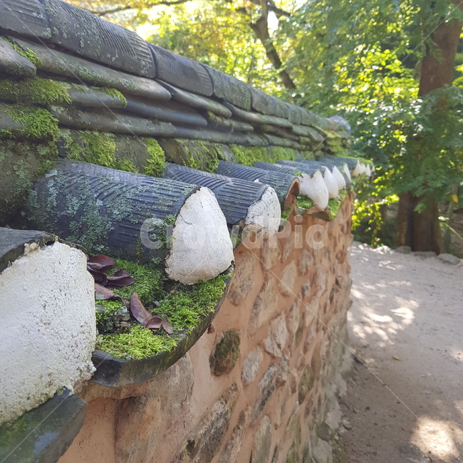 담벼락,기와,이끼,배경,풍경,자연,한국전통,한국문화,korean traditional,korean culture