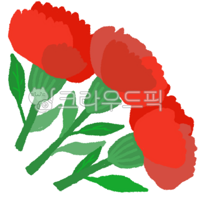 Carnation,Flower,May,Family Month,Teacher's Day,Parents' Day