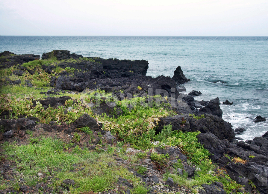 해안길,선인장자생지,제주,올레14코스,올레길,바다,기암괴석,자연,풍경,nature,landscape,제주도,jeju,jeju island,promontory,곶