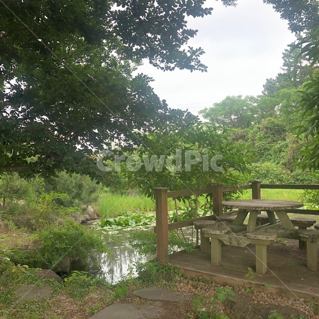제주풍경,제주,자연,연못,여름,제주명소,제주자연,풍경,jeju,korea,nature,제주핫플,제주추천,제주도