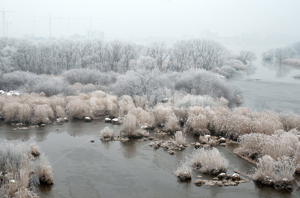 상고대,영하,날씨,습도,겨울,겨울,계절,winter,season,자연,풍경,nature,landscape,outdoors,옥외,frost,서리,snow,눈