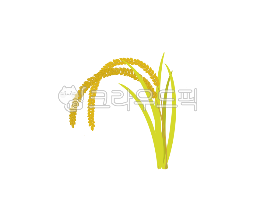 벼, 쌀, 벼이삭, 논, 일러스트, 사진,이미지,일러스트,캘리그라피 - 소 반작가