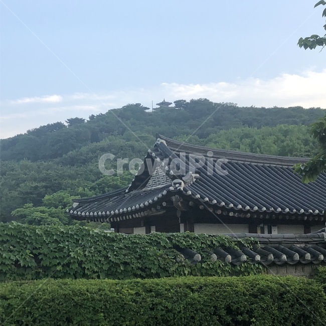 한옥,건축물,기와,수원,지붕