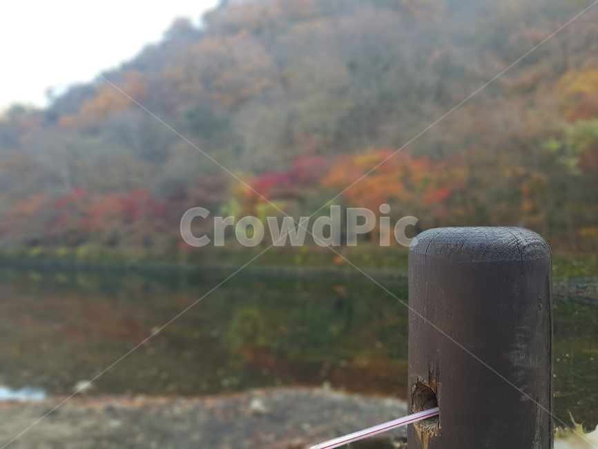 단풍,내장산,가을,하늘,풍경,국립공원,적막,새벽,한적함,햇빛,기둥,산,가을,계절,fall,autumn,season