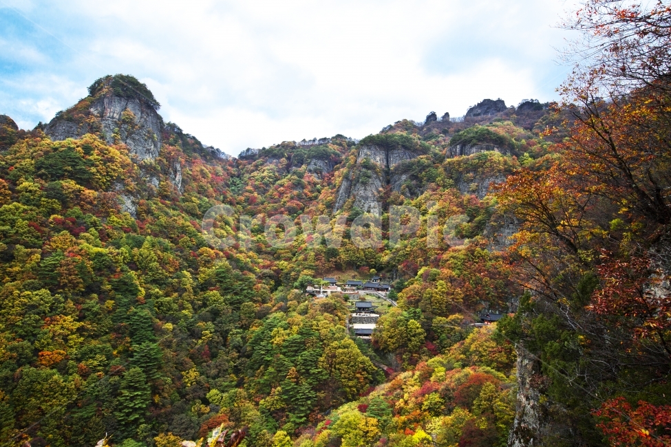 가을,단풍,자연,풍경,청량산,청량사,절,가을,계절,fall,autumn,season,자연,풍경,nature,landscape,한국자연풍경,한국자연경관,korea nature landscape,outdoors,옥외