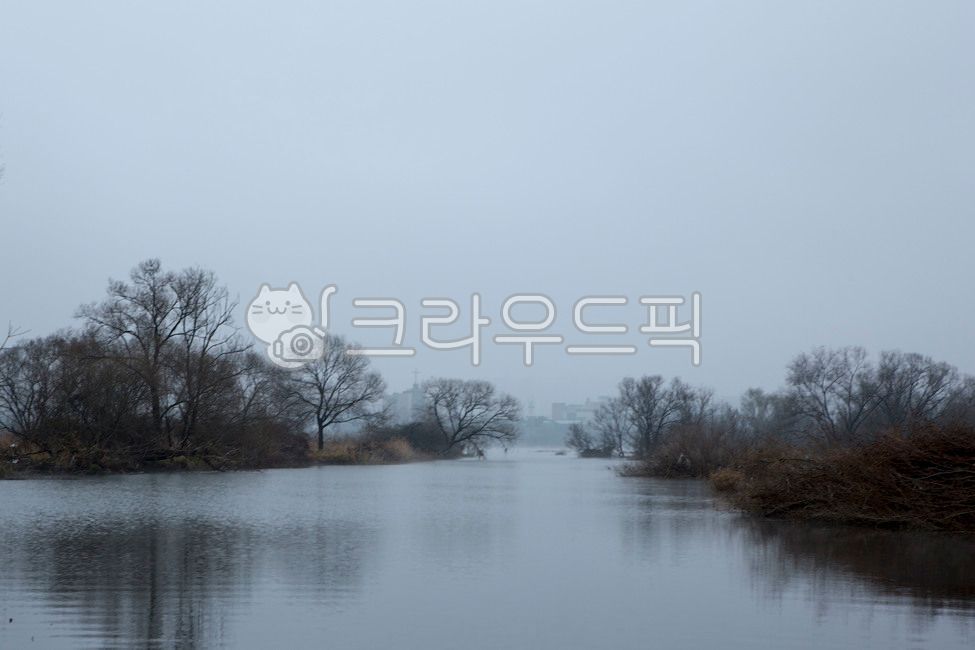 소양강,장학리,춘천,겨울아침,안개,자연,nature