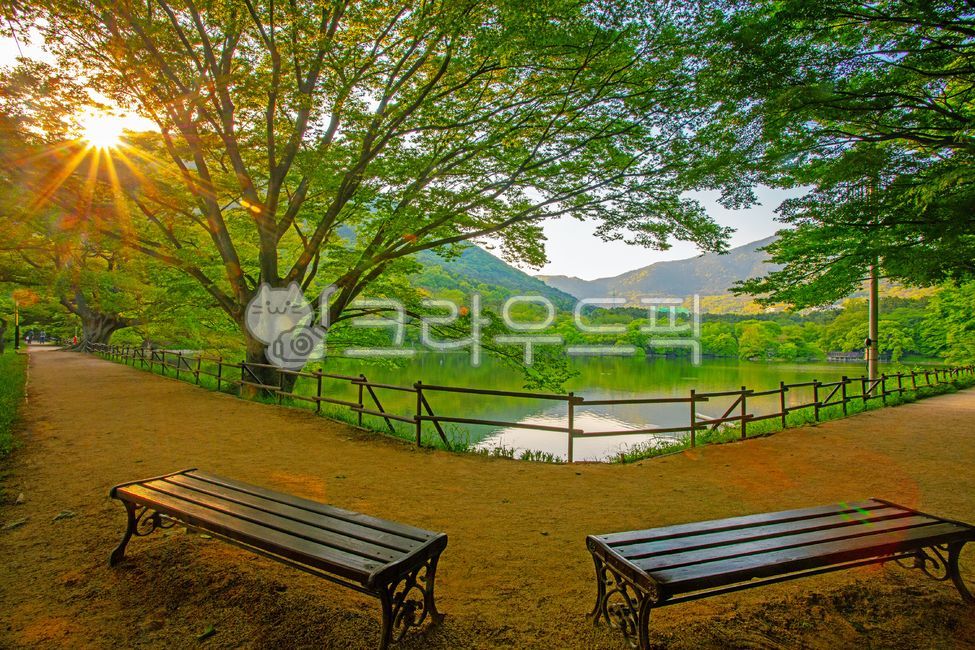 진해,진해생태공원,진해내수면생태공원,나무,밴치,연못